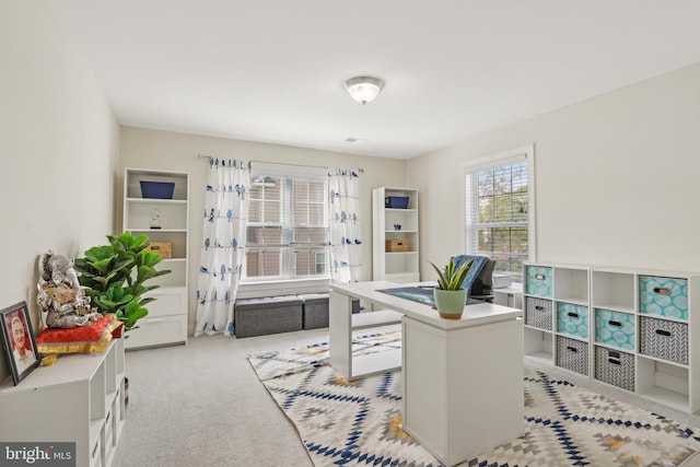 office space featuring light colored carpet
