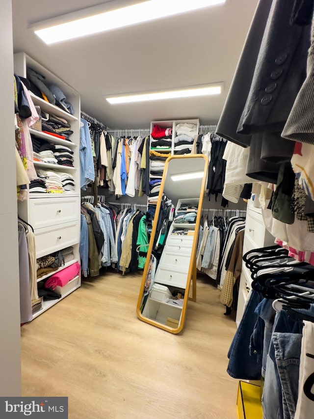 spacious closet with wood finished floors