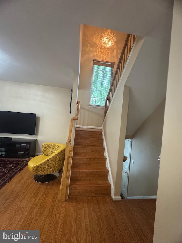 8800 Fenimore Pl, Bristow, VA 20136 - stairway featuring wood finished floors and baseboards