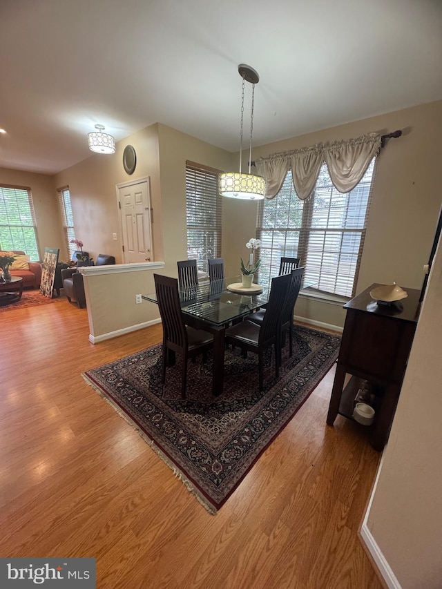 8800 Fenimore Pl, Bristow, VA 20136 - dining space with wood finished floors, plenty of natural light, and baseboards