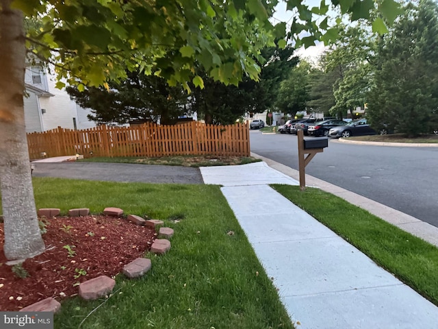 8800 Fenimore Pl, Bristow, VA 20136 - view of yard