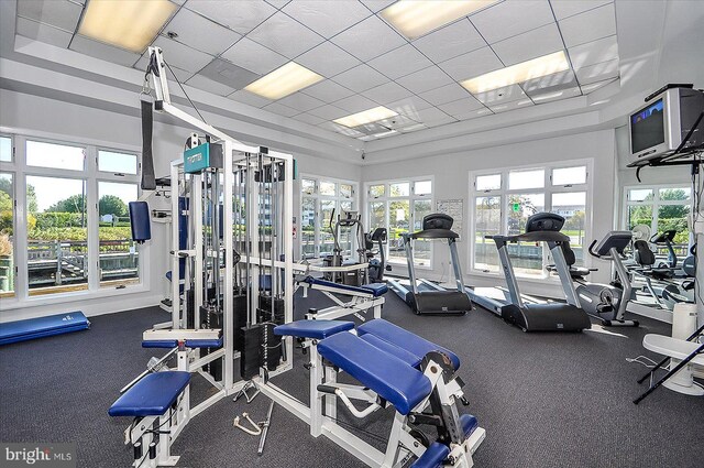 201 S Heron Dr Unit 9B, Ocean City, MD 21842 - exercise room with a drop ceiling