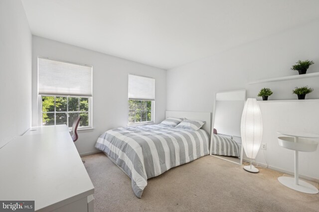 bedroom featuring carpet flooring