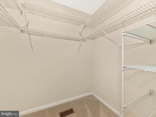 20216 Tidewinds Way, Germantown, MD 20874 - spacious closet with light carpet