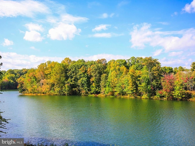 20216 Tidewinds Way, Germantown, MD 20874 - water view with a heavily wooded area