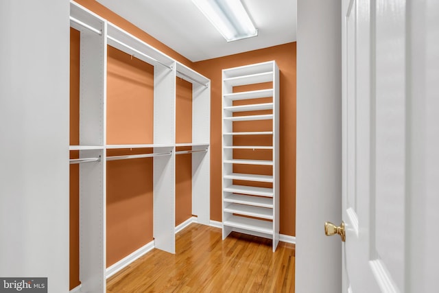 walk in closet featuring light wood finished floors