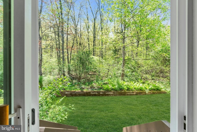 view of yard