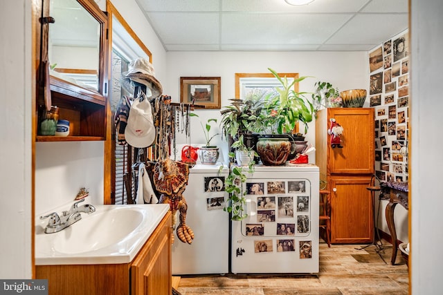 bathroom featuring wood finished floors, vanity, and a drop ceiling