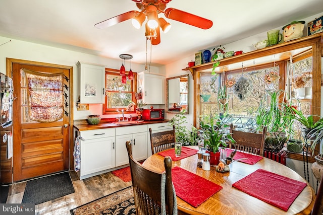 dining room with wood finished floors, a healthy amount of sunlight, and ceiling fan