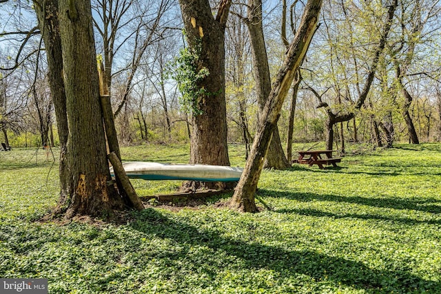 surrounding community featuring a yard