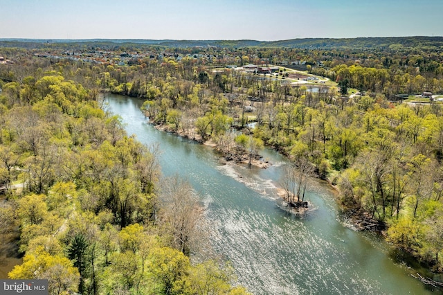 aerial view with a water view and a view of trees