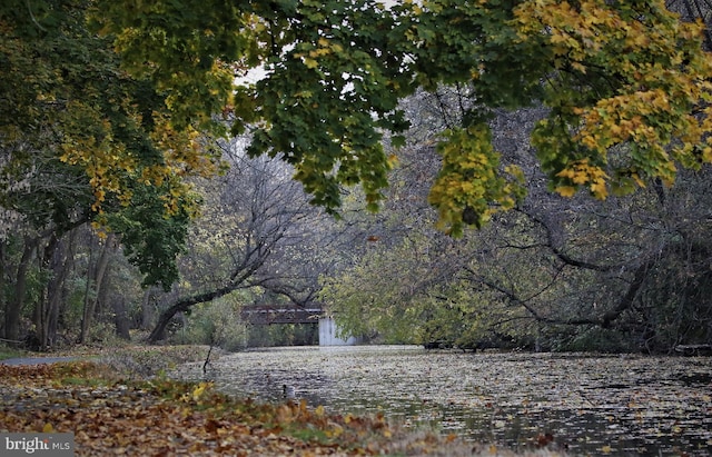 view of community with a forest view and a water view