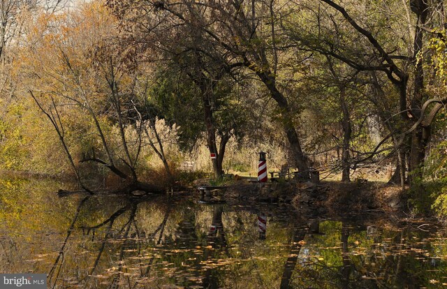 view of landscape with a forest view