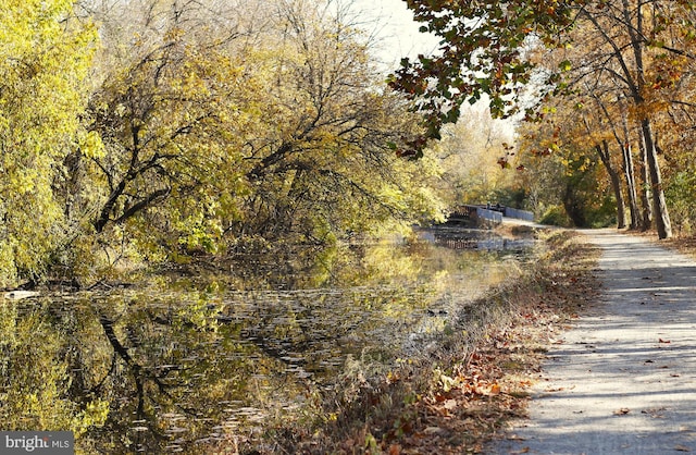 450 Port Providence Rd, Phoenixville, PA 19460 - view of community featuring a view of trees