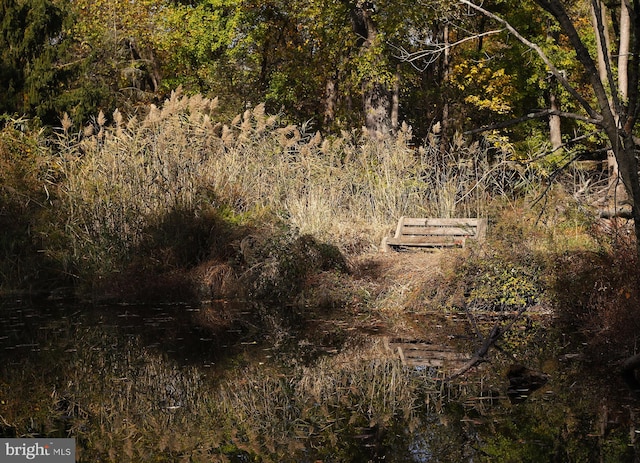 450 Port Providence Rd, Phoenixville, PA 19460 - view of local wilderness