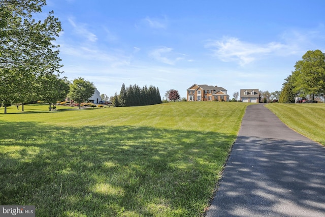 view of street featuring aphalt driveway