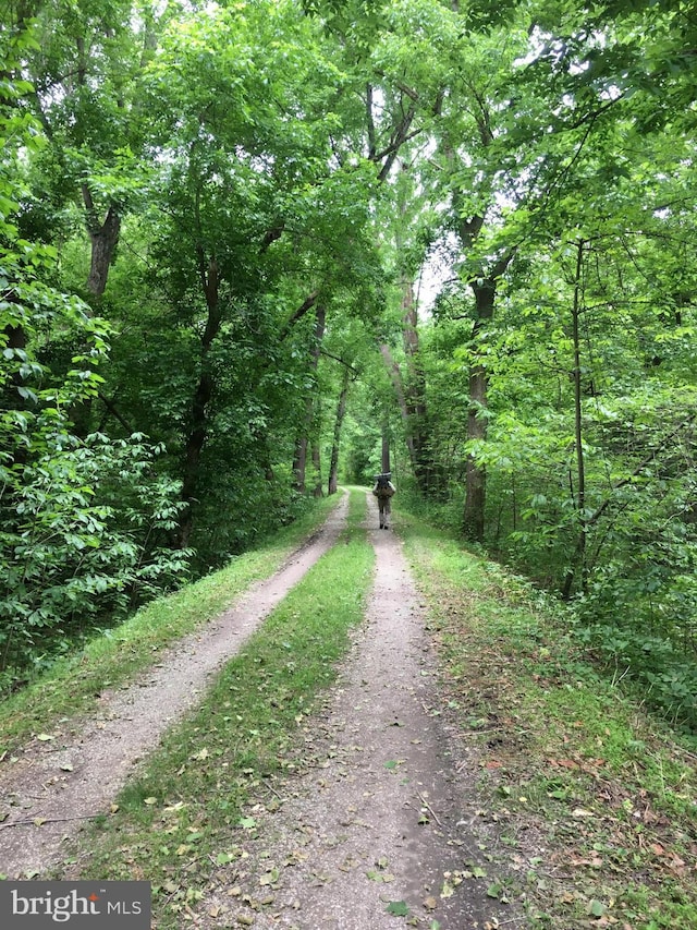 view of street with a wooded view