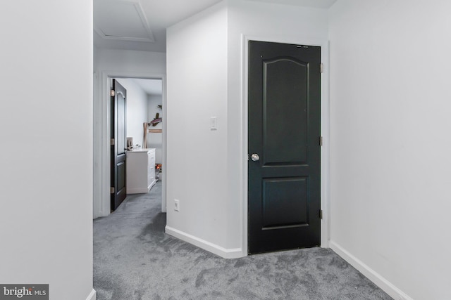hall featuring baseboards, attic access, and carpet floors