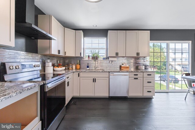 kitchen with wall chimney range hood, a healthy amount of sunlight, stainless steel appliances, and a sink