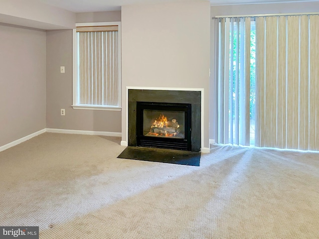 2208 Merion Pond Pond Unit 62, Woodstock, MD 21163 - room details with baseboards, carpet flooring, and a fireplace with flush hearth