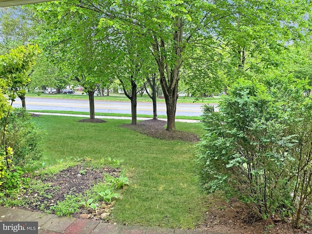 2208 Merion Pond Pond Unit 62, Woodstock, MD 21163 - view of yard