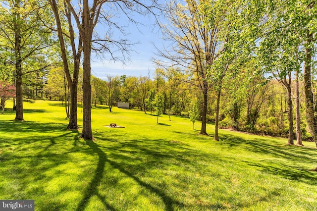 view of home's community featuring a yard