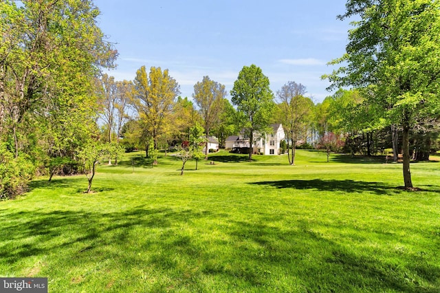 view of property's community with a yard