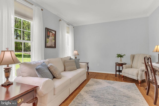 living area featuring baseboards, ornamental molding, and wood finished floors