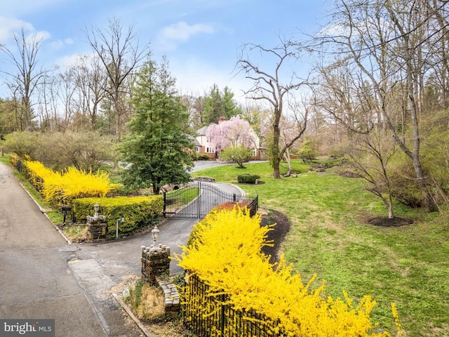 surrounding community featuring a yard, driveway, and a gate