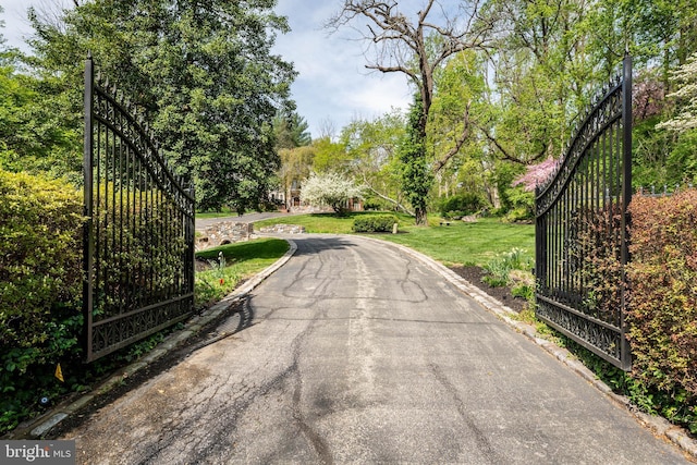 view of street with a gated entry