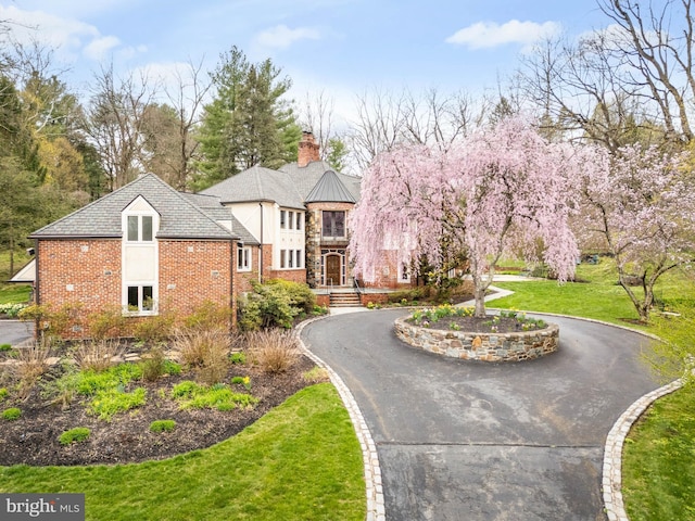view of home's community featuring curved driveway and a lawn
