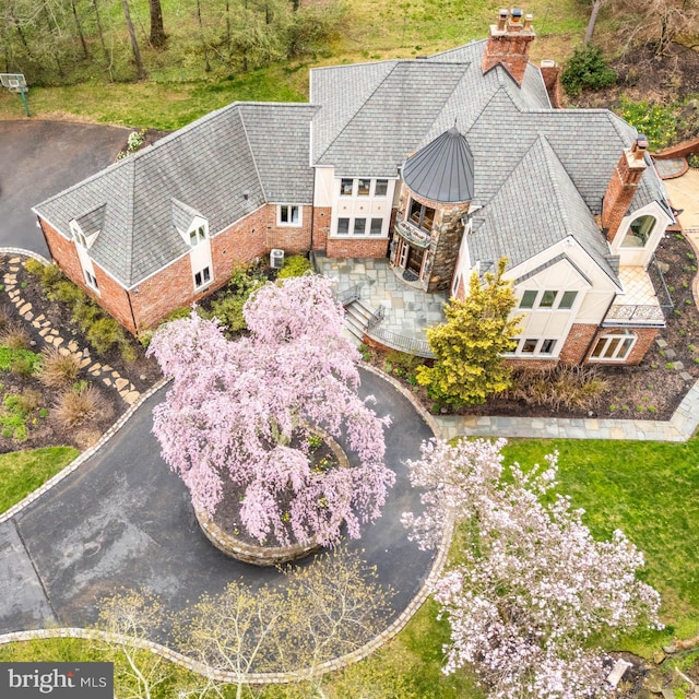 drone / aerial view
