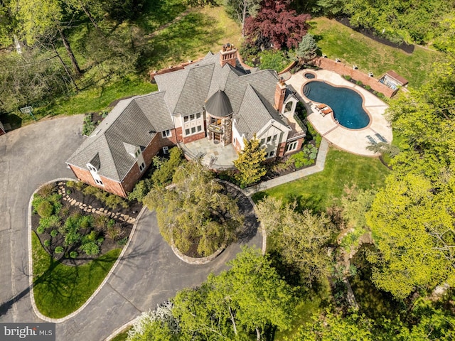 aerial view