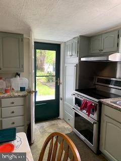 317 S Stokes St, Havre De Grace, MD 21078 - kitchen featuring double oven range, under cabinet range hood, light countertops, and gray cabinets