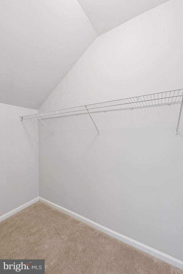 walk in closet featuring vaulted ceiling and carpet floors