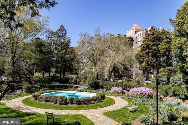 4000 Cathedral Ave NW Unit 435-436-437B, Washington, DC 20016 - view of community with a lawn and view of scattered trees