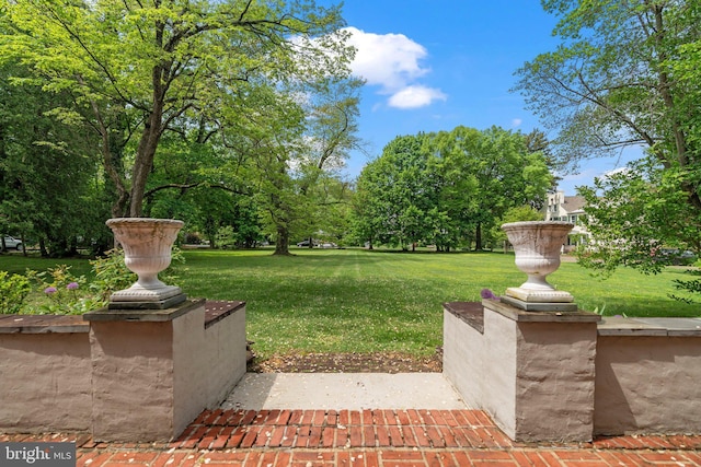 view of grassy yard