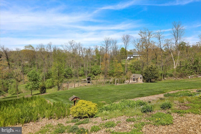 view of yard with a view of trees