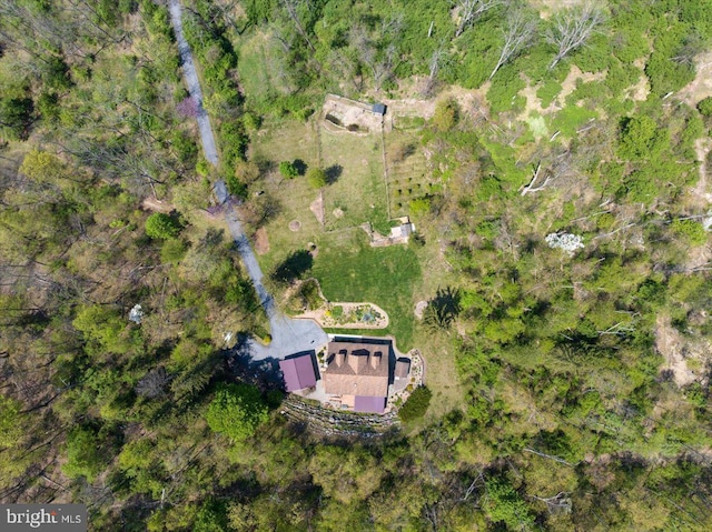 drone / aerial view
