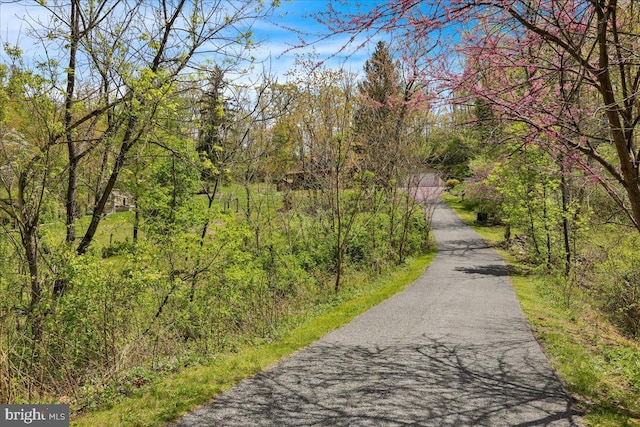 view of road featuring a forest view