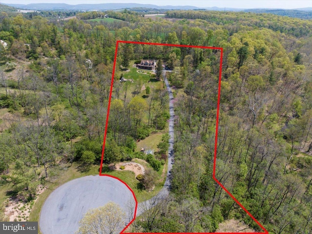 aerial view with a wooded view