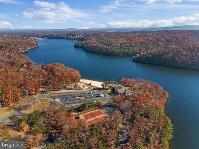 905 Lakeview Dr, Cross Junction, VA 22625