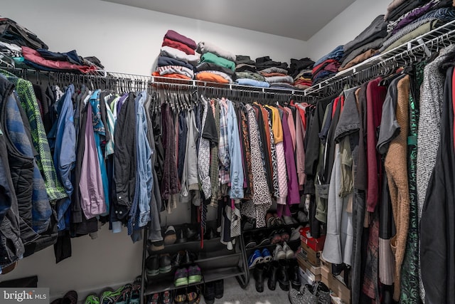 102 Magnolia Dr, Elkton, MD 21921 - spacious closet featuring carpet floors