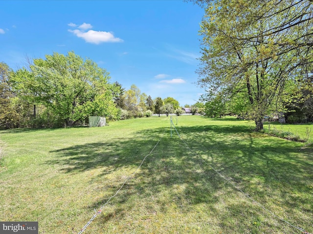 view of yard