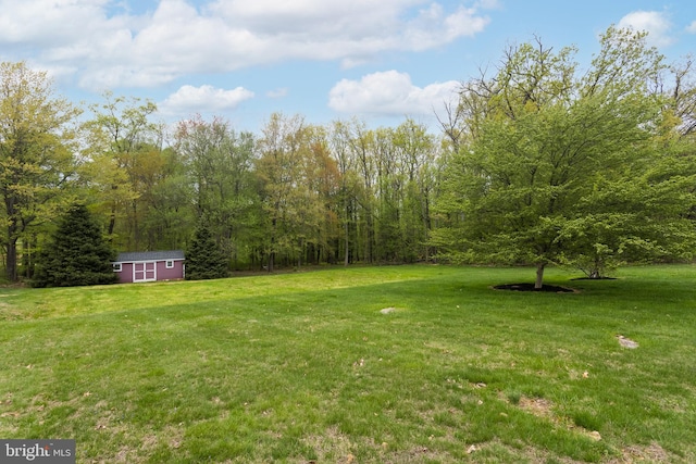 view of yard with an outdoor structure and a view of trees