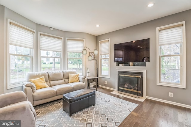 living room featuring hardwood / wood-style floors, a wealth of natural light, and baseboards
