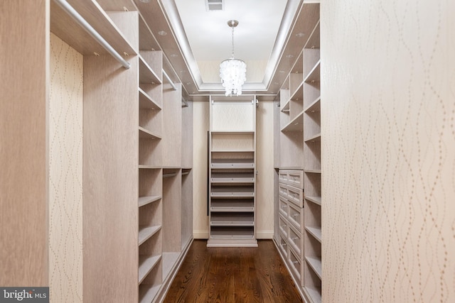 spacious closet featuring a raised ceiling, a notable chandelier, and dark wood-style flooring