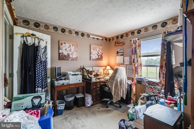 5135 Clark Canning House Rd, Federalsburg, MD 21632 - office with a textured ceiling and carpet flooring