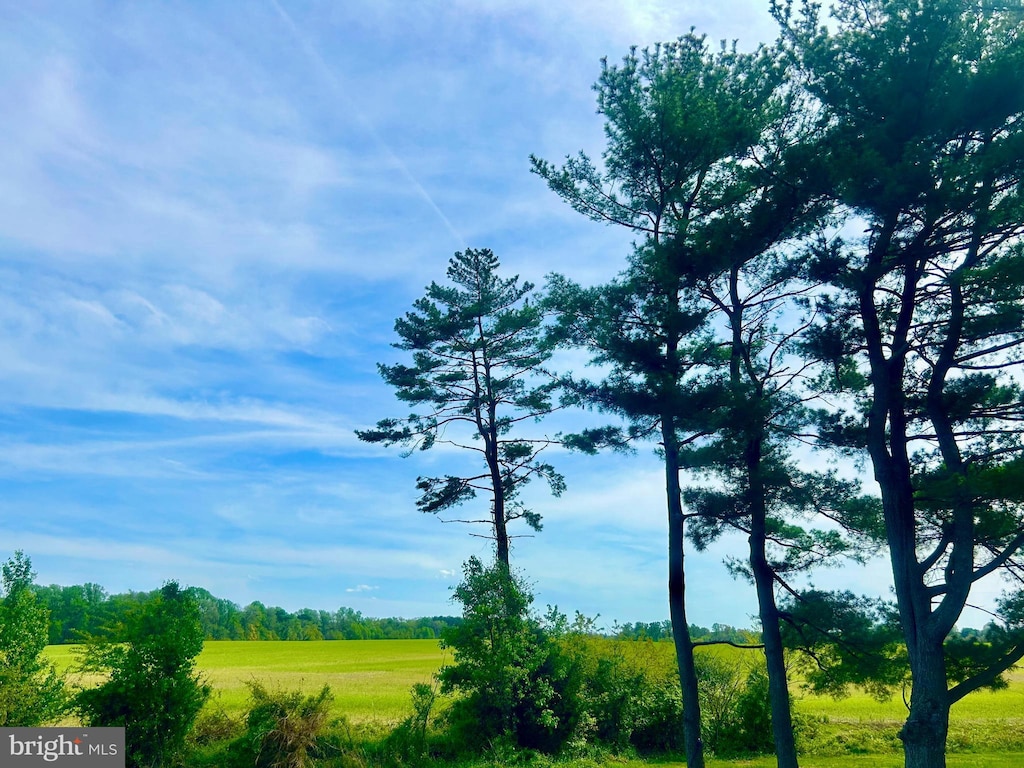 view of nature