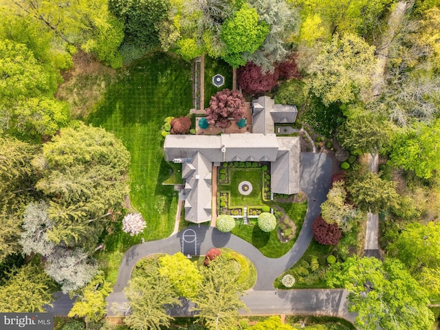 bird's eye view
